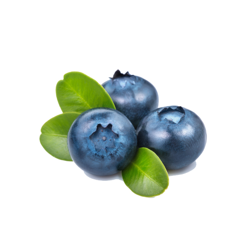agrovincci-arandano