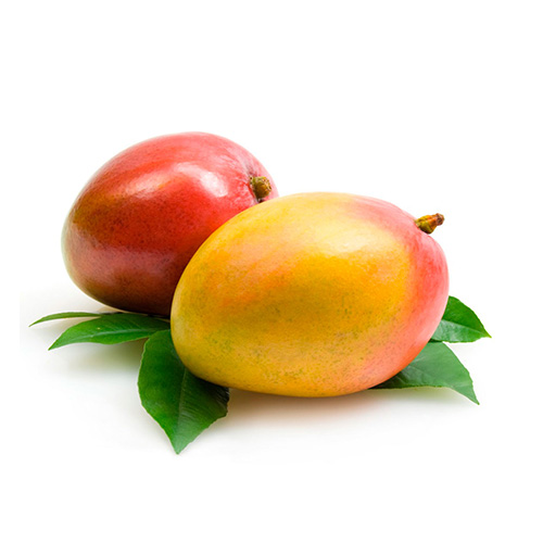 agrovincci-mango