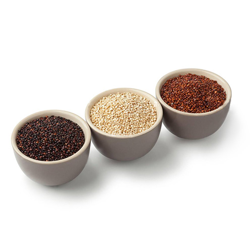 agrovincci-quinua-de-colores